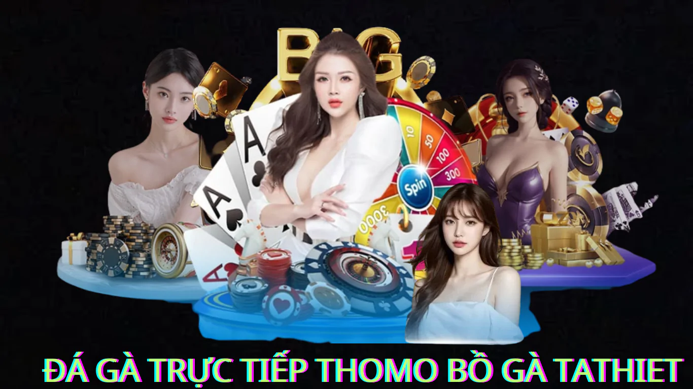 Cách Đăng Ký  Tham Gia Đá Gà Trực Tuyến Trên Bồ Gà Tathiet